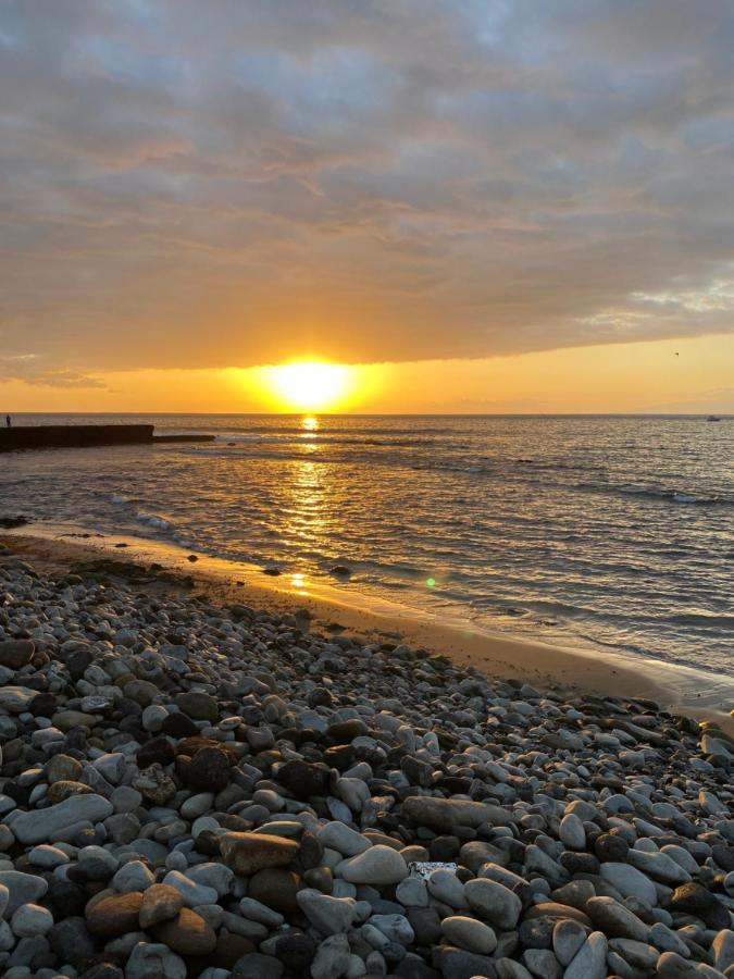 La Arenita - Oceanview Apartment ปาล์ม-มาร์ ภายนอก รูปภาพ