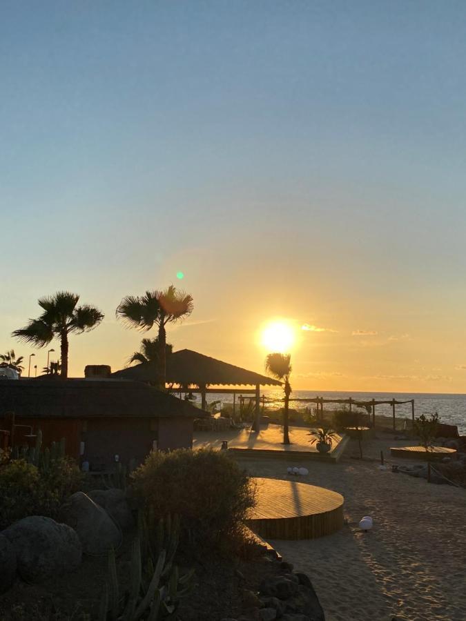 La Arenita - Oceanview Apartment ปาล์ม-มาร์ ภายนอก รูปภาพ