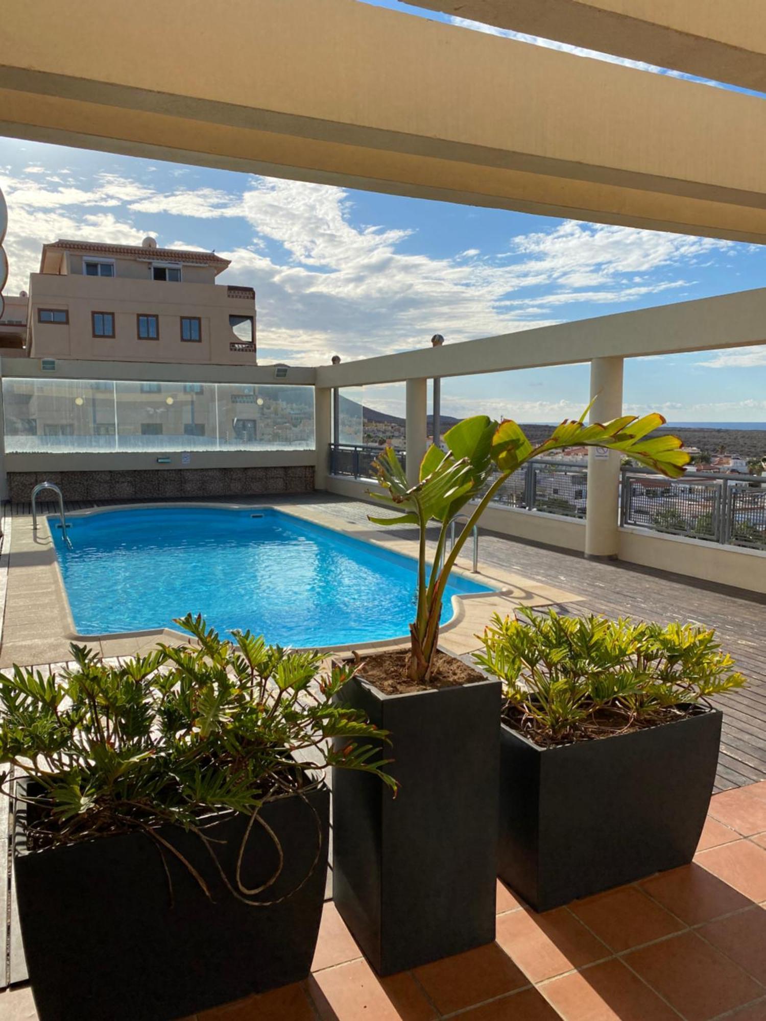 La Arenita - Oceanview Apartment ปาล์ม-มาร์ ภายนอก รูปภาพ