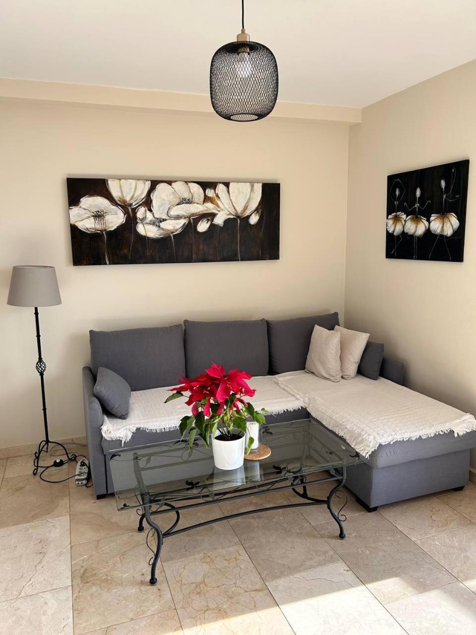 La Arenita - Oceanview Apartment ปาล์ม-มาร์ ภายนอก รูปภาพ